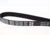 Ремінь П-клиновий Dayco DAYCO 5PK1005 (фото 2)