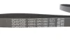 Ремень поликлиновый DAYCO 5PK1090 (фото 3)