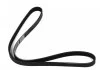 Поликлиновый ремень DACIA DOKKER, LODGY, LOGAN, LOGAN EXPRESS, LOGAN II, LOGAN MCV, LOGAN MCV II, SANDERO LADA LARGUS RENAULT CLIO II, KANGOO, KANGOO EXPRESS, LAGUNA I 1.4-2.2D 01.96- DAYCO 5PK1110 (фото 2)