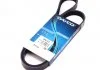 Поликлиновый ремень HYUNDAI ACCENT IV, I20 ACTIVE, I20 II, I30 KIA CEE'D, PICANTO II, PRO CEE'D, RIO III OPEL ASTRA G, ASTRA G CLASSIC, ASTRA H, ASTRA H GTC, ASTRA J 1.2-2.0D 07.87- DAYCO 5PK1210 (фото 1)