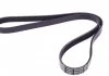 Поликлиновый ремень HYUNDAI ACCENT IV, I20 ACTIVE, I20 II, I30 KIA CEE'D, PICANTO II, PRO CEE'D, RIO III OPEL ASTRA G, ASTRA G CLASSIC, ASTRA H, ASTRA H GTC, ASTRA J 1.2-2.0D 07.87- DAYCO 5PK1210 (фото 2)
