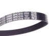 Поликлиновый ремень HYUNDAI ACCENT IV, I20 ACTIVE, I20 II, I30 KIA CEE'D, PICANTO II, PRO CEE'D, RIO III OPEL ASTRA G, ASTRA G CLASSIC, ASTRA H, ASTRA H GTC, ASTRA J 1.2-2.0D 07.87- DAYCO 5PK1210 (фото 3)