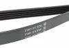 Ремень поликлиновый, AUDI A4/A6, MITSUBISHI Colt/Lancer, SKODA Superb, VW Passat 1.6-2.0 94-05 DAYCO 5PK1300 (фото 3)