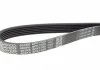 Ремінь генератора, 1.9D-TD DAYCO 6PK1025 (фото 2)