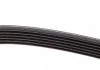 Ремінь генератора, 1.9D-TD DAYCO 6PK1025 (фото 3)