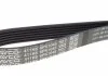 Ремень генератора VW Caddy II/Golf/Passat 1.9 TDI 93-04 /Caddy III/Golf/Passat 1.6/2.0 04-15 DAYCO 6PK1045 (фото 3)