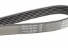Ремень поликлиновой DAYCO 6PK1053 (фото 3)