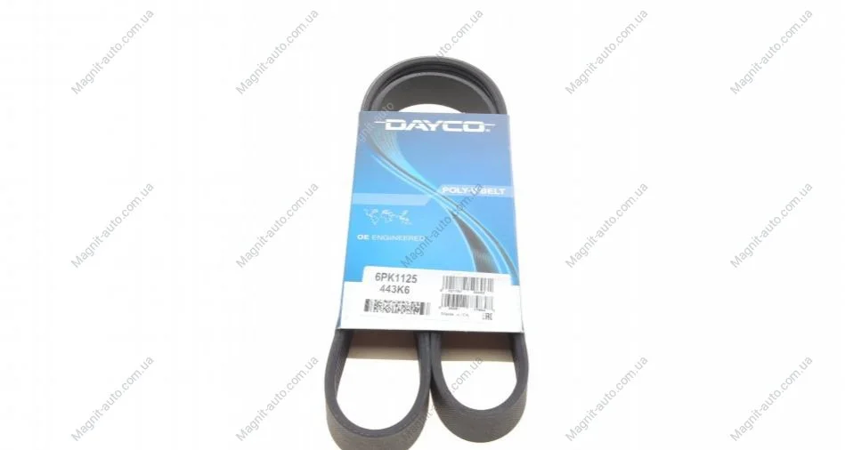 Ремінь П-клиновий Dayco DAYCO 6PK1125 (фото 1)