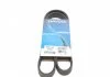 Ремінь П-клиновий Dayco DAYCO 6PK1125 (фото 1)