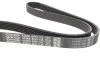 Ремінь П-клиновий Dayco DAYCO 6PK1125 (фото 2)