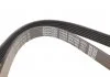 Ремень поликлиновый DAYCO 6PK1450 (фото 3)