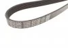 Ремінь П-клиновий Dayco DAYCO 6PK1468 (фото 3)
