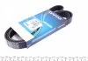 Ремень поликлиновой DAYCO 6PK1545 (фото 1)