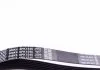 Ремень поликлиновой DAYCO 6PK1545 (фото 2)
