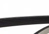 Поліклиновий ремінь VOLVO 440, 460, 480, S60 II, S80 II, V40, V60 I, V70 II, V70 III BMW 3 (E36), 5 (E34), 5 (E39), 7 (E38), 7 (E65, E66, E67), Z3 (E36) CHEVROLET AVEO 1.4-4.4 04.86- DAYCO 6PK1555 (фото 4)