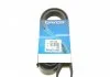 Ремень поликлин. (произ-во) DAYCO 6PK1558 (фото 1)