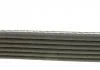 Ремень поликлин. (произ-во) DAYCO 6PK1558 (фото 2)
