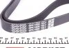 Поліклиновий ремінь VOLVO 850, 960, S40 I, V40 AUDI A8 D3 CITROEN XANTIA, XM OPEL ASTRA H, ASTRA H GTC SUBARU TRIBECA 1.6-4.0D 08.90- DAYCO 6PK1625 (фото 3)