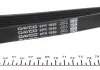Ремінь поліклиновий DAYCO 6PK1650 (фото 3)