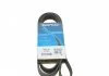 Ремень поликлиновый DAYCO 6PK1705 (фото 1)