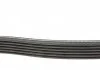Ремень поликлиновый DAYCO 6PK1705 (фото 2)