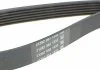 Ремень поликлиновый DAYCO 6PK1705 (фото 3)