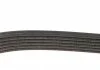 Поліклиновий ремінь VOLVO S40 I, S90 I, V40, V90 I ALFA ROMEO 156, 159, BRERA, SPIDER CITROEN BERLINGO, C5 I, EVASION, JUMPY I, XSARA DODGE CALIBER FIAT MAREA, ULYSSE 1.0-2.9 06.89- DAYCO 6PK1750 (фото 3)