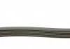 Поликлиновый ремень VOLVO S40 I, S80 I, V40, V70 II ALFA ROMEO 145, 146 BMW 1 (E81), 1 (E82), 1 (E87), 1 (E88) CHEVROLET AVEO FIAT BARCHETTA, BRAVA, BRAVO I, PUNTO 1.2-2.5D 04.95- DAYCO 6PK1795 (фото 2)
