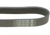 Поликлиновый ремень VOLVO S40 I, S80 I, V40, V70 II ALFA ROMEO 145, 146 BMW 1 (E81), 1 (E82), 1 (E87), 1 (E88) CHEVROLET AVEO FIAT BARCHETTA, BRAVA, BRAVO I, PUNTO 1.2-2.5D 04.95- DAYCO 6PK1795 (фото 3)