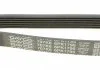 Поликлиновый ремень VOLVO S40 I, S80 I, V40, V70 II ALFA ROMEO 145, 146 BMW 1 (E81), 1 (E82), 1 (E87), 1 (E88) CHEVROLET AVEO FIAT BARCHETTA, BRAVA, BRAVO I, PUNTO 1.2-2.5D 04.95- DAYCO 6PK1795 (фото 4)