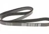 Ремінь поліклиновий, FORD Scorpio/Sierra, OPEL Astra F/G/Omega B/Vectra A/B 1.4-2.2 91-05 DAYCO 6PK1805 (фото 2)