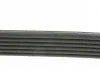 Ремінь поліклиновий, FORD Escort/Scorpio/Sierra 1.6-2.0 +i 90-95 DAYCO 6PK1815 (фото 6)