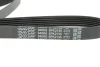 Ремень поликлиновый DAYCO 6PK2135 (фото 2)