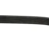 Ремень поликлиновый DAYCO 6PK2135 (фото 3)