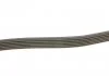 Ремень генератора, CDI (-AC, с обводным роликом) DAYCO 6PK2255 (фото 3)