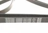 Ремень поликлиновый DAYCO 5PK1750 (фото 3)