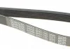 Поліклиновий ремінь DAYCO 6PK1130 (фото 5)