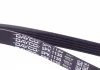 Ремень поликлиновый DAYCO 5PK1130 (фото 3)