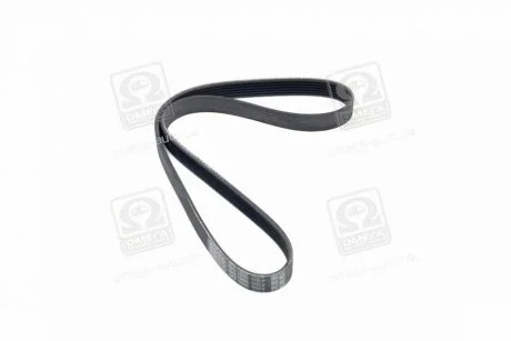 Ремень поликлиновой DAYCO 6PK1005