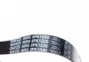 Ремень генератора Opel Astra/Corsa/Vectra 1.4-1.8 93-05 DAYCO 6PK1530 (фото 2)