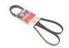 Ремень поликлиновый, HYUNDAI Accent/Getz/i30, KIA Ceed/Cerato/Rio 1.5 CRDi 05- Gates 5PK1800 (фото 1)