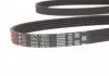 Ремень поликлиновый, HYUNDAI Accent/Getz/i30, KIA Ceed/Cerato/Rio 1.5 CRDi 05- Gates 5PK1800 (фото 3)