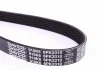 Ремень П-клиновый Dayco DAYCO 6PK2310 (фото 2)
