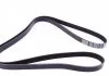 Ремень П-клиновый Dayco DAYCO 6PK2310 (фото 3)