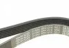 Ремінь П-клиновий Dayco DAYCO 6PK1310 (фото 4)