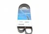 Ремень поликлиновый DAYCO 7PK1076