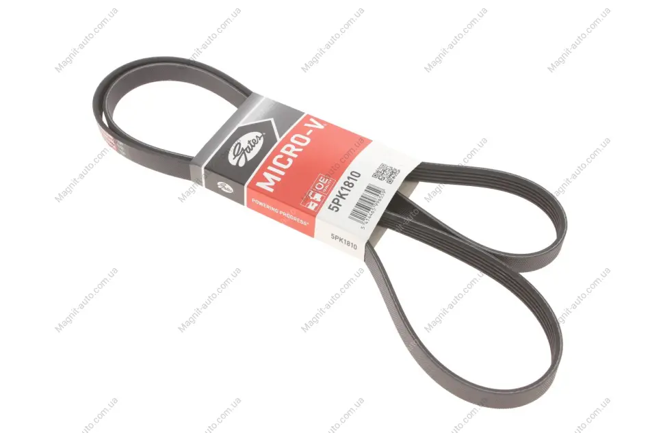 Ремінь поліклиновий, HYUNDAI Accent/Getz/i20-i30, KIA Ceed/Rio 1.1-1.7 05- Gates 5PK1810 (фото 1)
