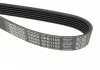 Ремінь поліклиновий DAYCO 6PK1105 (фото 3)