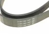 Ремінь поліклиновий, 2.0 D 07-16 DAYCO 6PK1217 (фото 4)