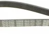 Ремінь генератора, Scudo/Berlingo/VW Golf DAYCO 6PK1437 (фото 4)